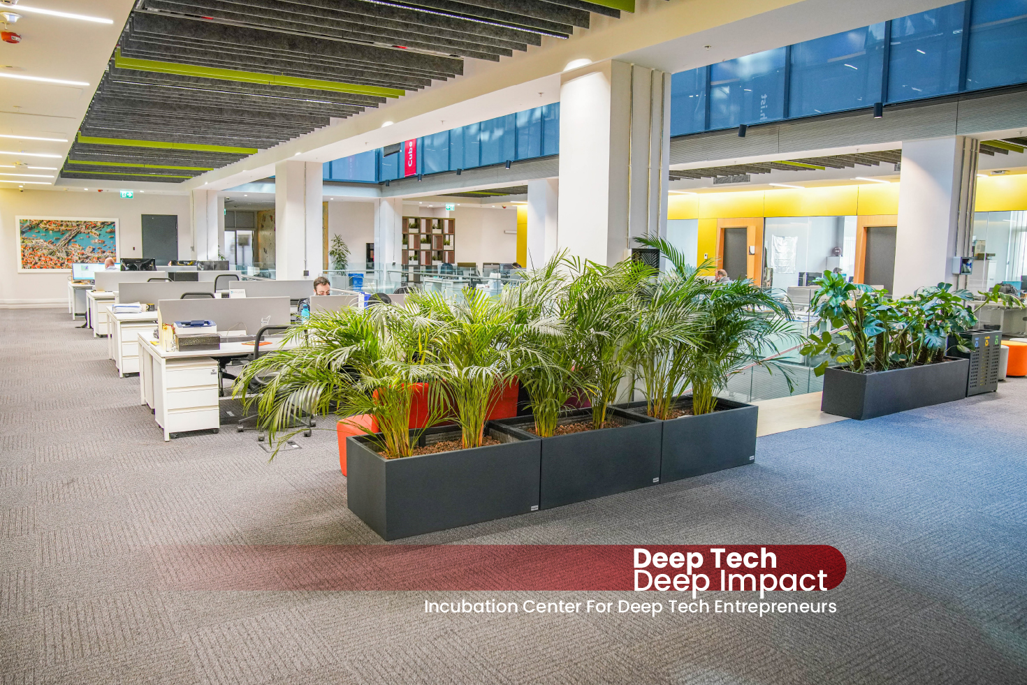 Coworking area at the Kronox office.